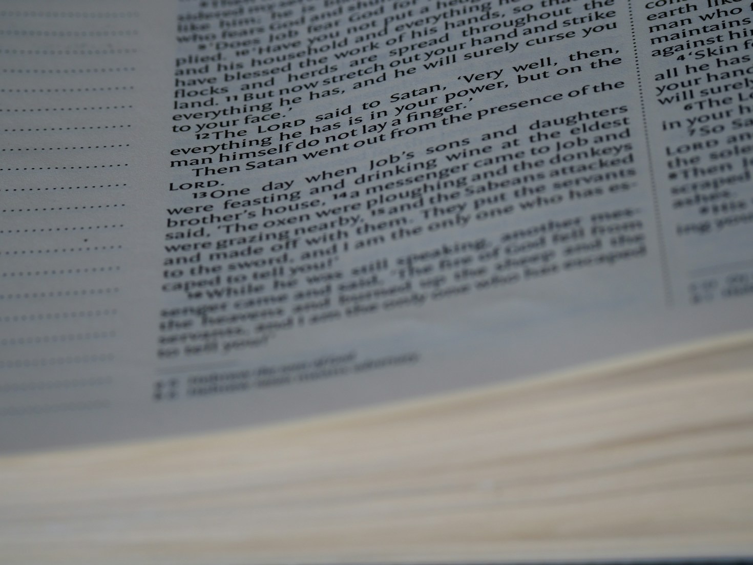 Explorando o Mundo Através das Palavras